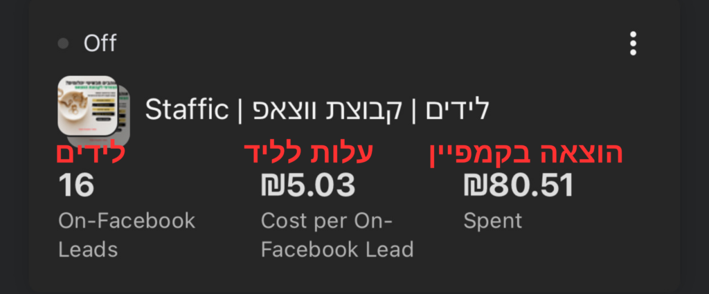 בניית קהילה ונכסים דיגיטליים