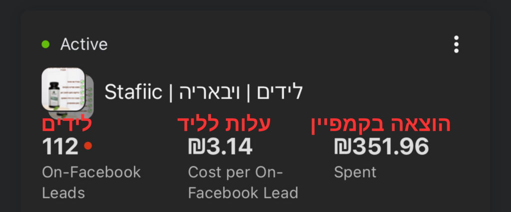 איקומרס: קמפיין לידים