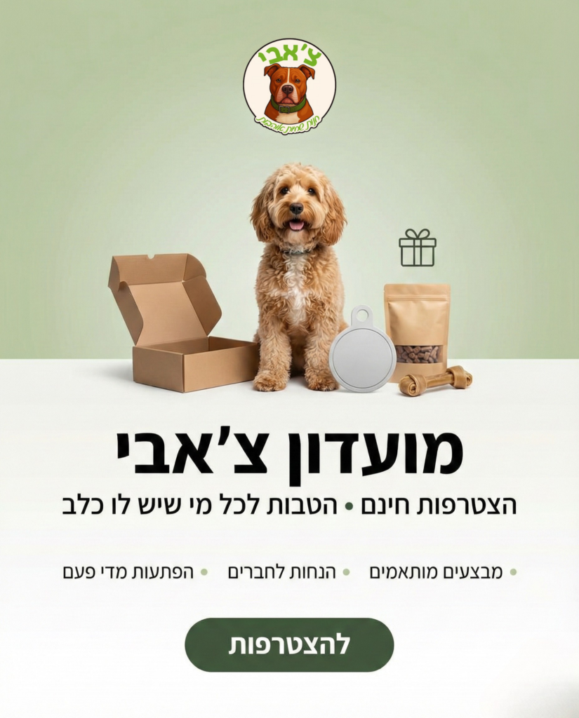 מועדון צ׳אבי חנות חיות